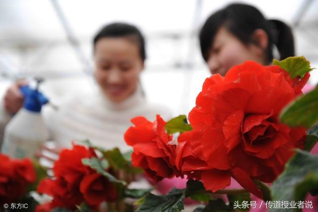 ����ר�����ĸ��(������ֳ�����ī�������ϴ�ȫ����������ġ�ף�����š�����ʫ��)