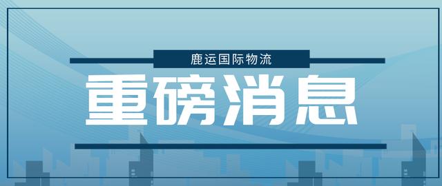 凭祥市东盟商业港「东盟跨境电商发展现状」