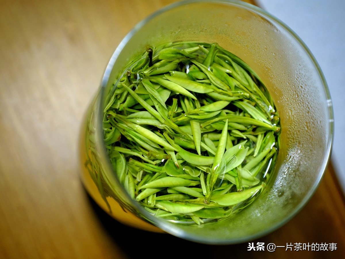 沖泡綠茶,最適宜的水溫是多少