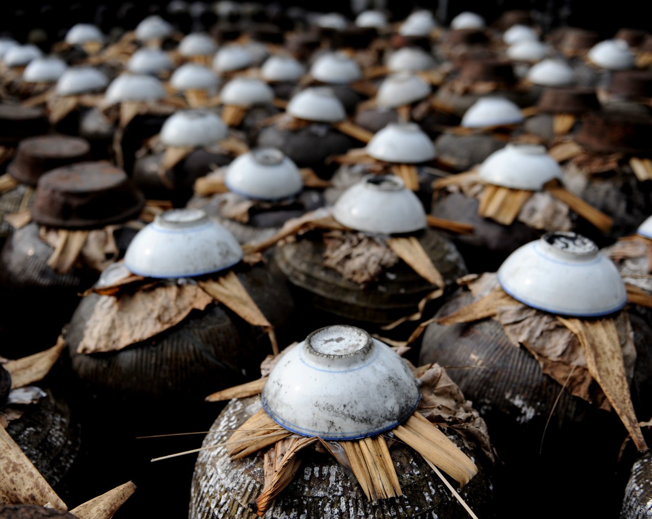 冬至，南方人吃什么？让北方饺子派大跌眼镜，很多人都不知道……