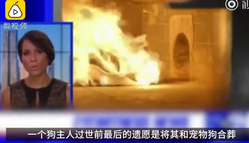 2死5伤！温州市区发生持刀行凶案，民警开枪将嫌疑人制服【三分钟法治新闻全知道】