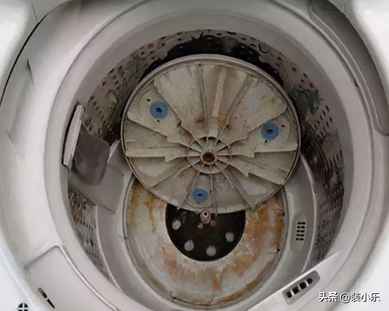 自动洗衣机内桶拆卸图图片