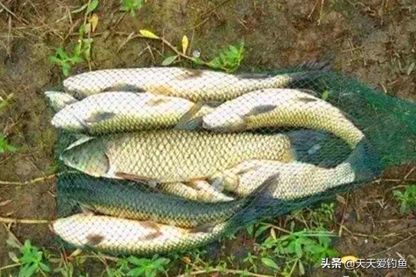 线组多加一个铅坠(线组上的铅坠多重)