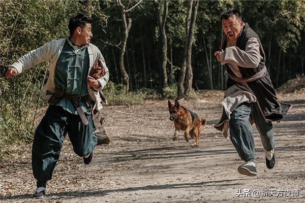 奥运会的趣事有哪些(搞笑版奥运会：盘点历届奥运会的趣事，定能让你捧腹大笑)