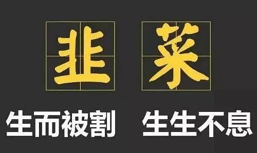 在线学雅思网课到底香不香？