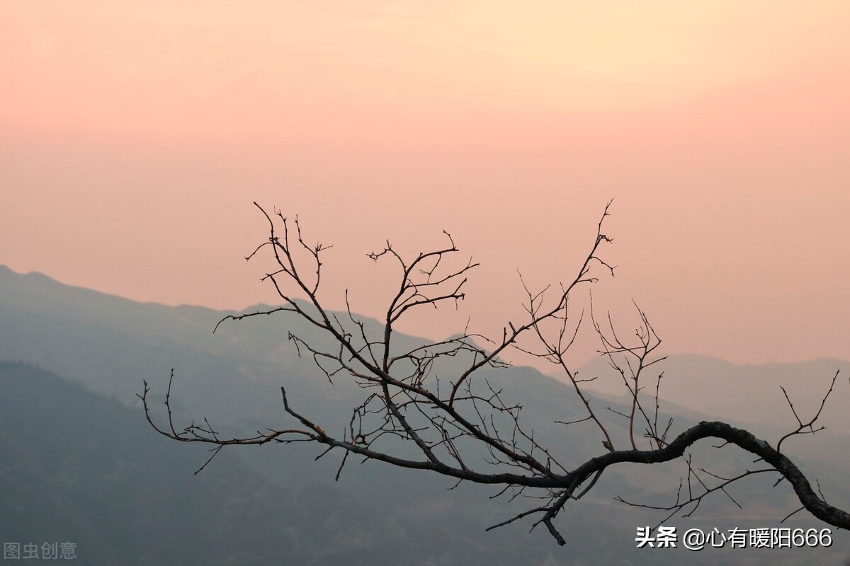 人類的悲歡並不相通,世上沒有感同身受,最大的善良就是謹言慎行