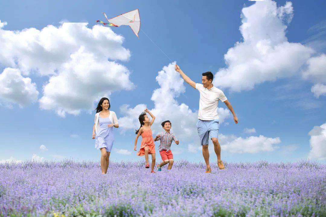 ������8ֻ����Ž�����԰��������1588��󣬰���Խ���ʧȥ��Ȥ