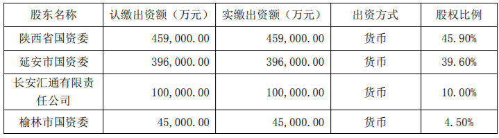 收购新能源公司80%股权项目可行性分析报告