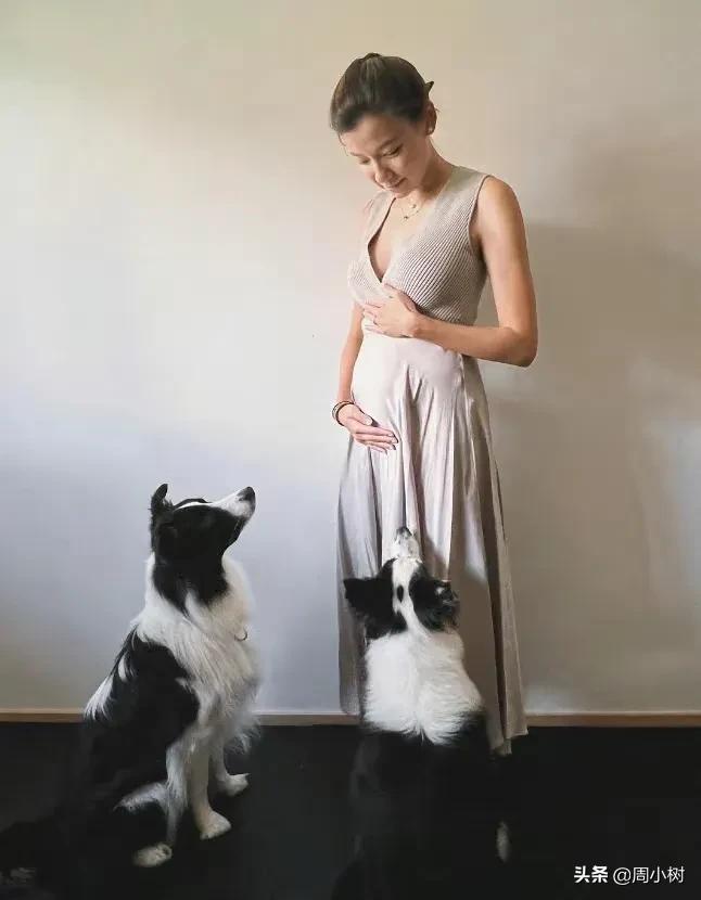 朱玲玲儿媳宣布怀孕5个月