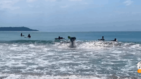 王诗龄瘦了20斤，美到不敢认！明星家的小孩果然都是胖着玩儿的