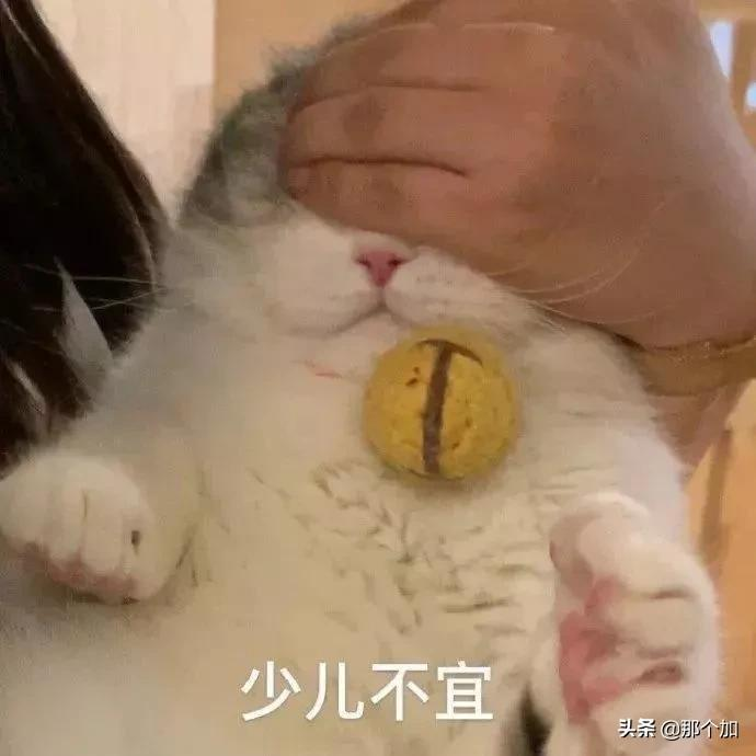 小说《绯闻恋人》‖作者·昭乱