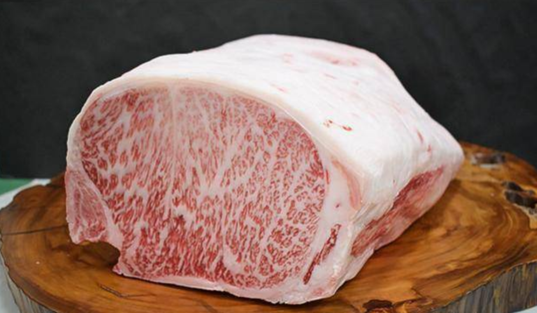 不过大部分的牛都是食草动物,不论是非洲的水牛还是美洲的野牛,它们看