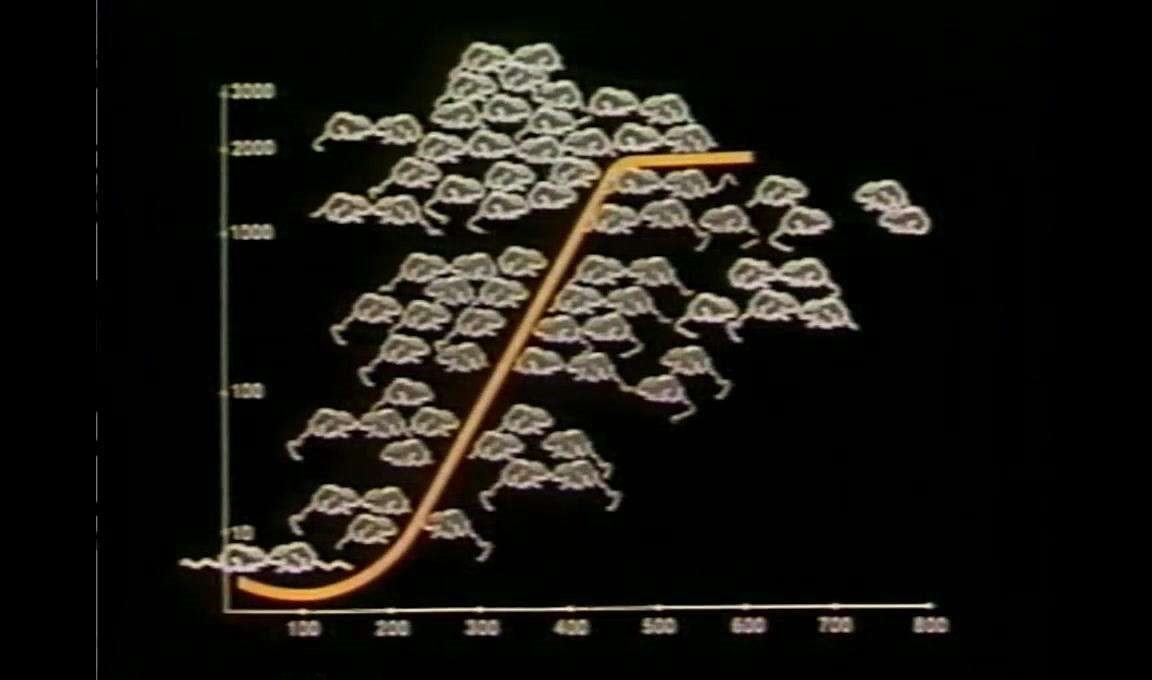 ������8ֻ����Ž�����԰��������1588��󣬰���Խ���ʧȥ��Ȥ