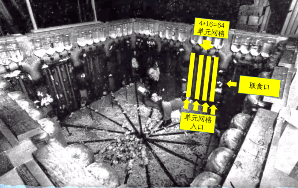 ������8ֻ����Ž�����԰��������1588��󣬰���Խ���ʧȥ��Ȥ