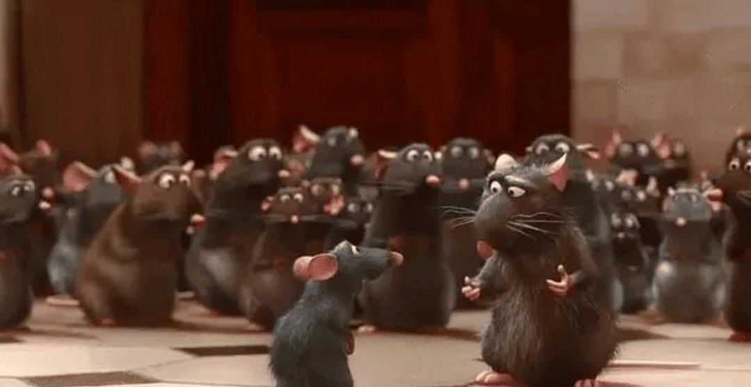 ������8ֻ����Ž�����԰��������1588��󣬰���Խ���ʧȥ��Ȥ