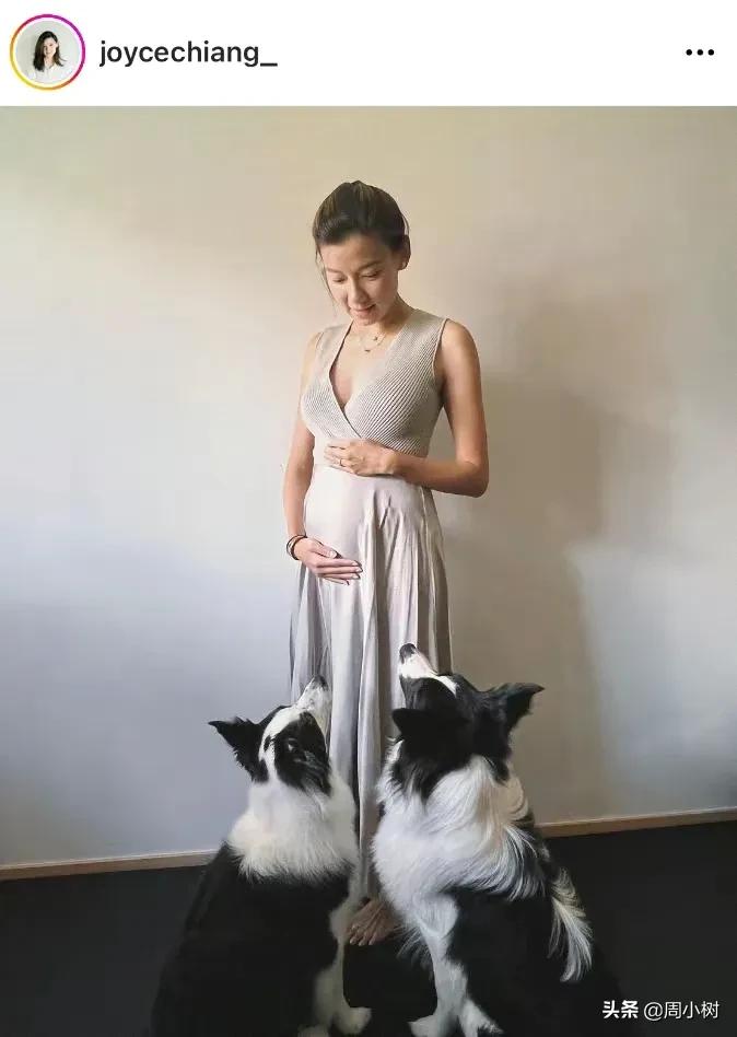 朱玲玲儿媳宣布怀孕5个月