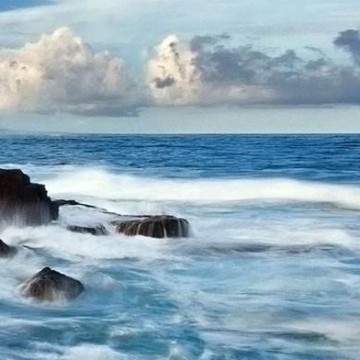 心哲杂谈